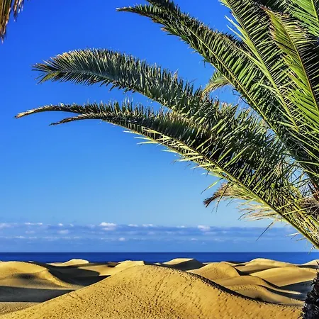 Adelfas South 5 By Canariasgetaway *